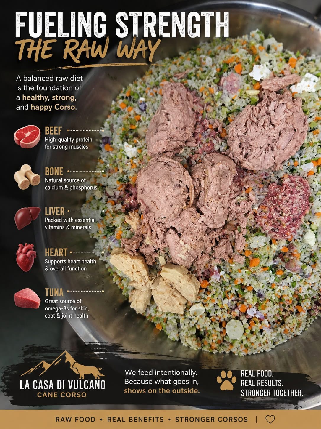 Fueling Strength raw-feeding overview